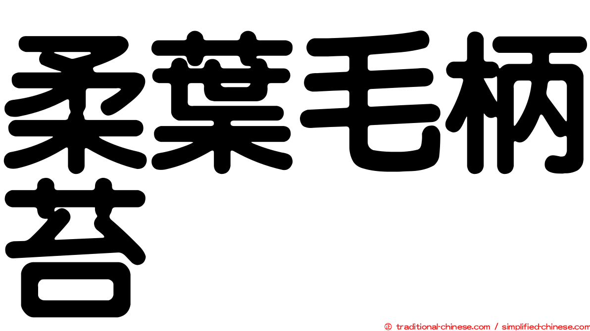 柔葉毛柄苔