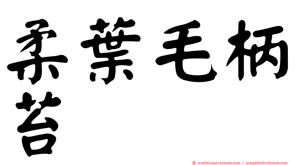 柔葉毛柄苔