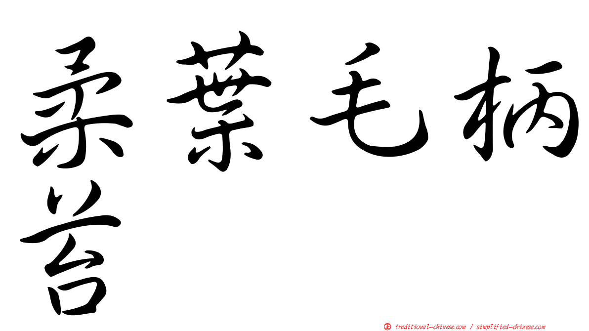 柔葉毛柄苔