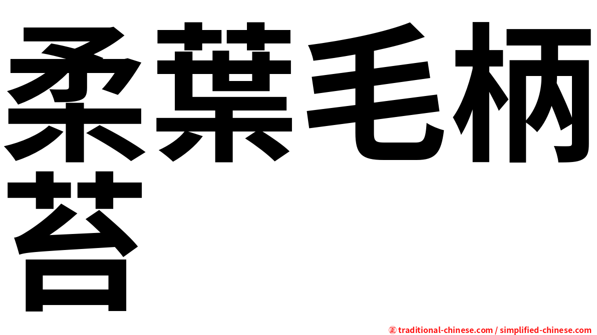柔葉毛柄苔