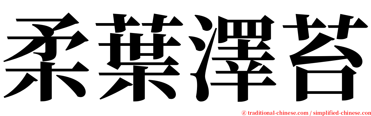 柔葉澤苔 serif font