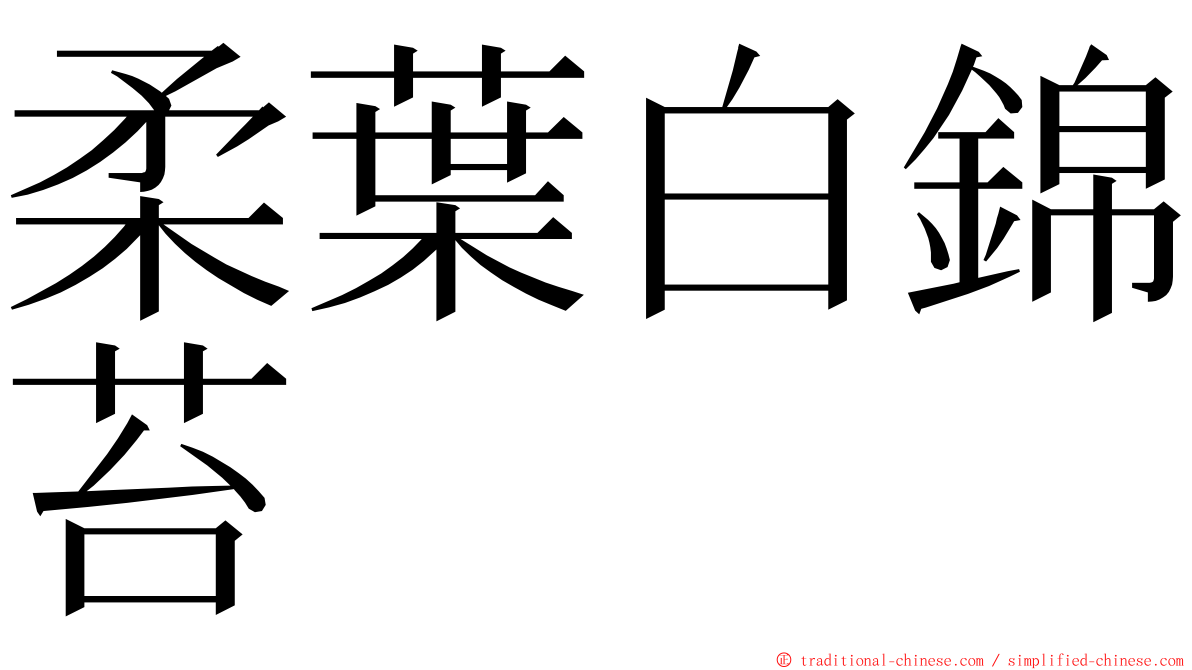 柔葉白錦苔 ming font