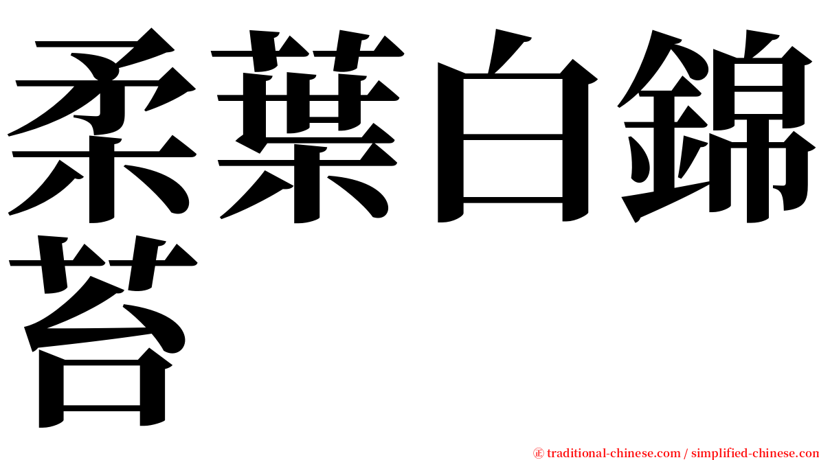 柔葉白錦苔 serif font