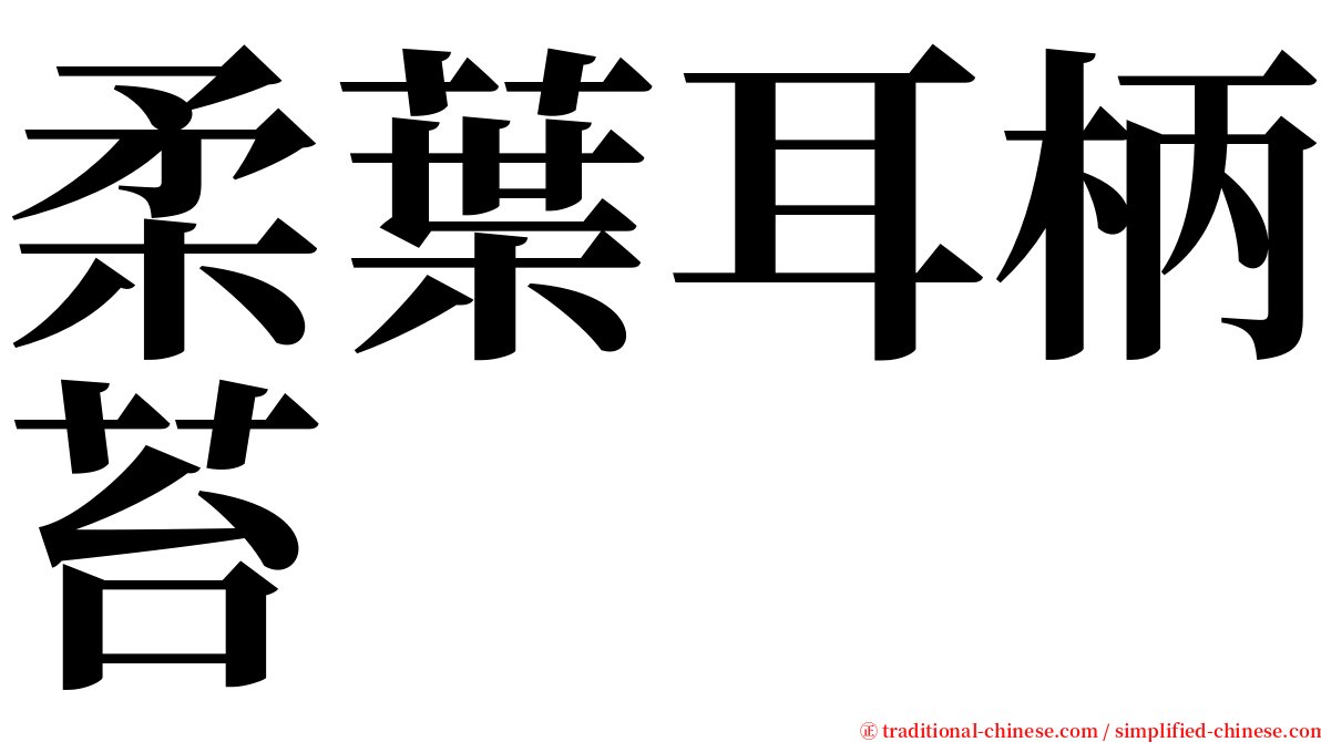 柔葉耳柄苔 serif font