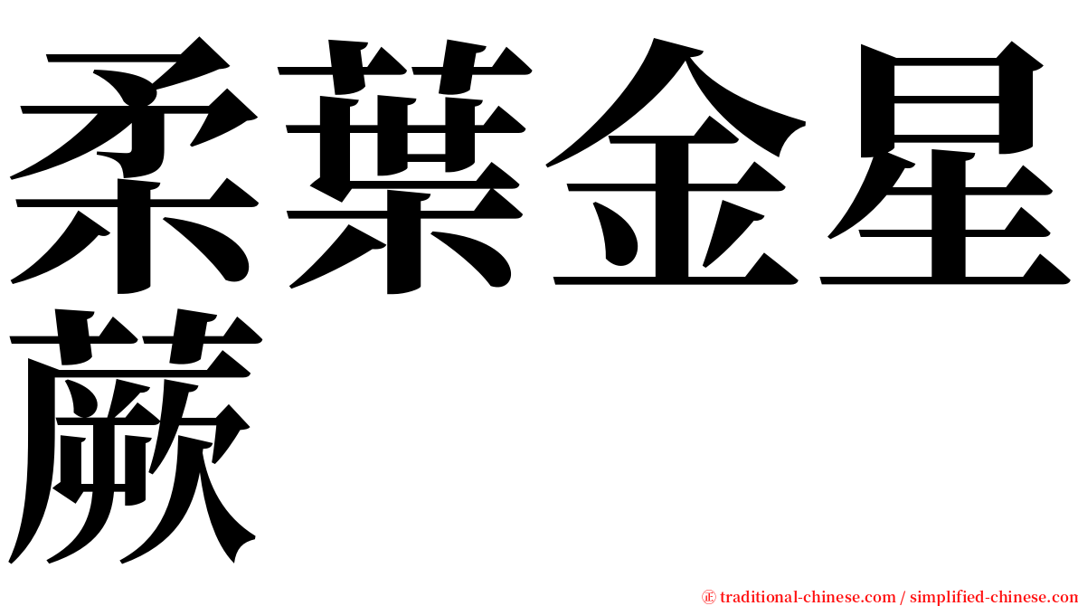 柔葉金星蕨 serif font