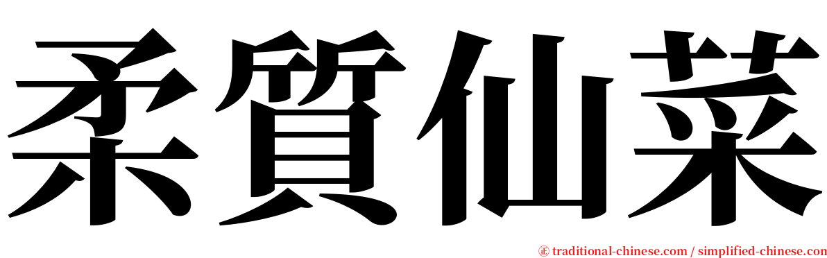 柔質仙菜 serif font