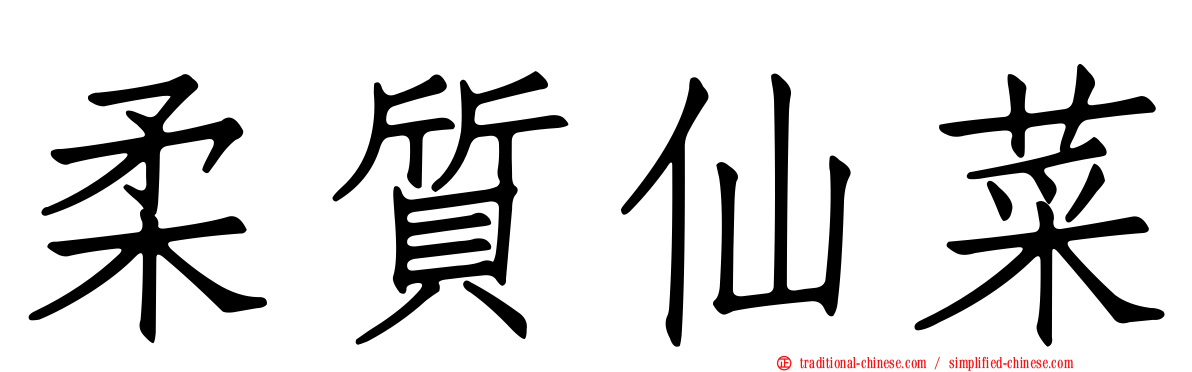 柔質仙菜