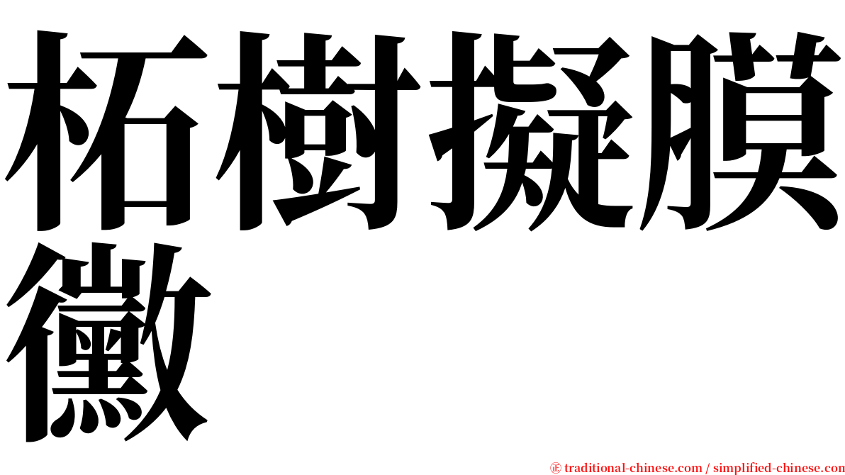 柘樹擬膜黴 serif font