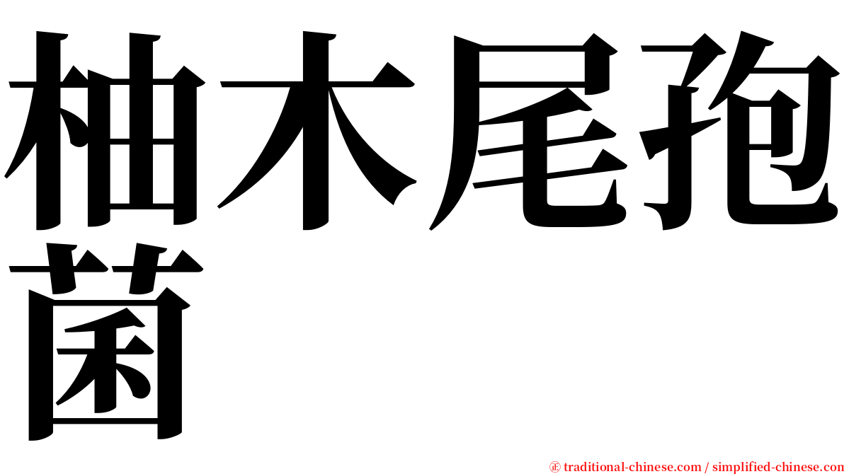 柚木尾孢菌 serif font