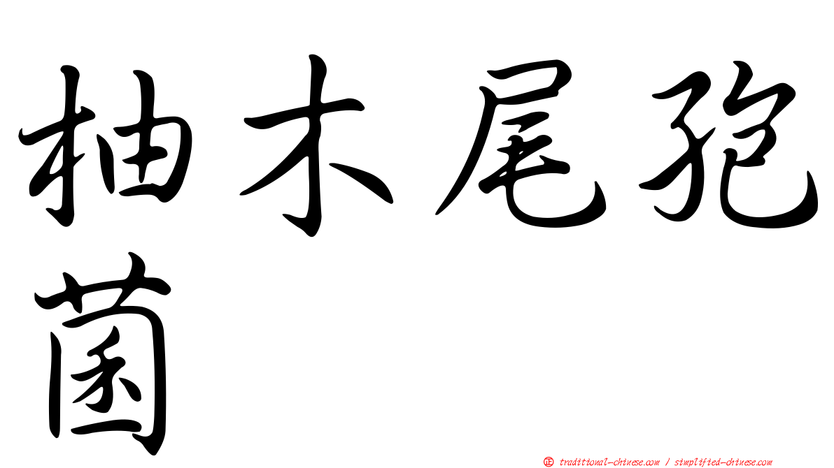 柚木尾孢菌