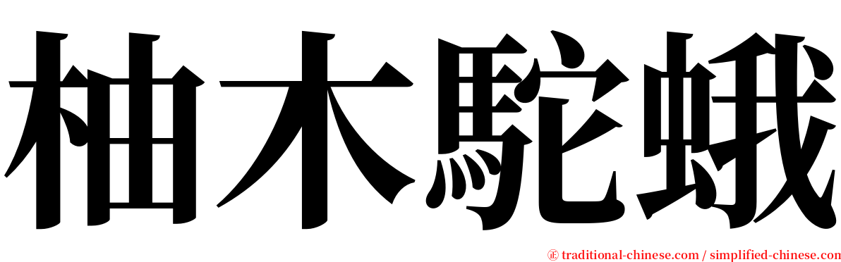 柚木駝蛾 serif font