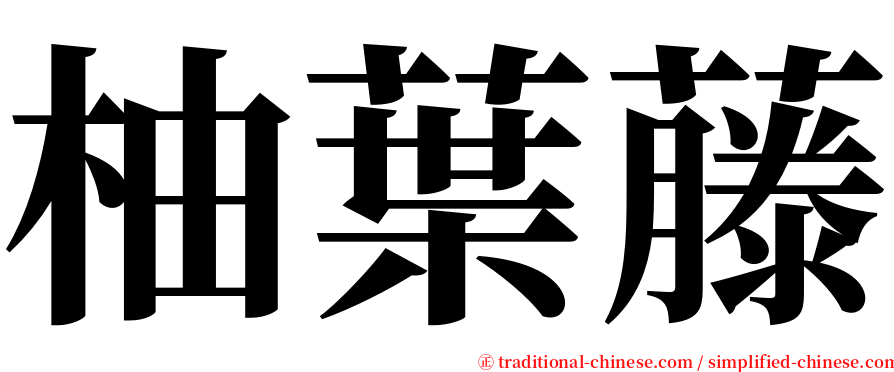 柚葉藤 serif font