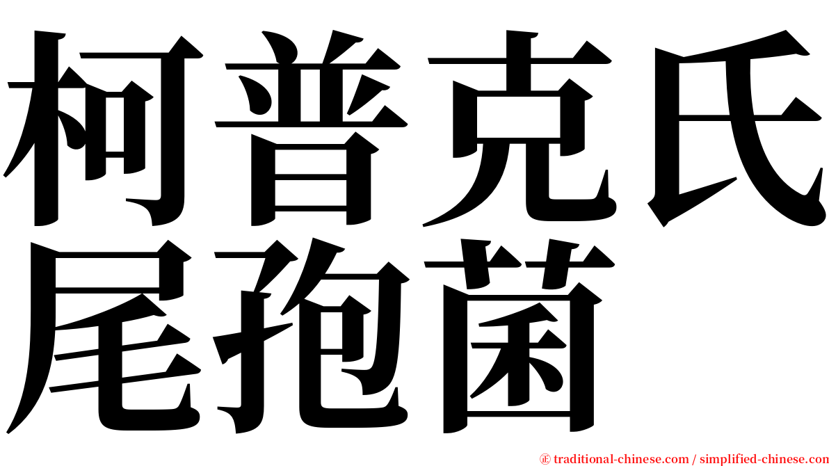 柯普克氏尾孢菌 serif font