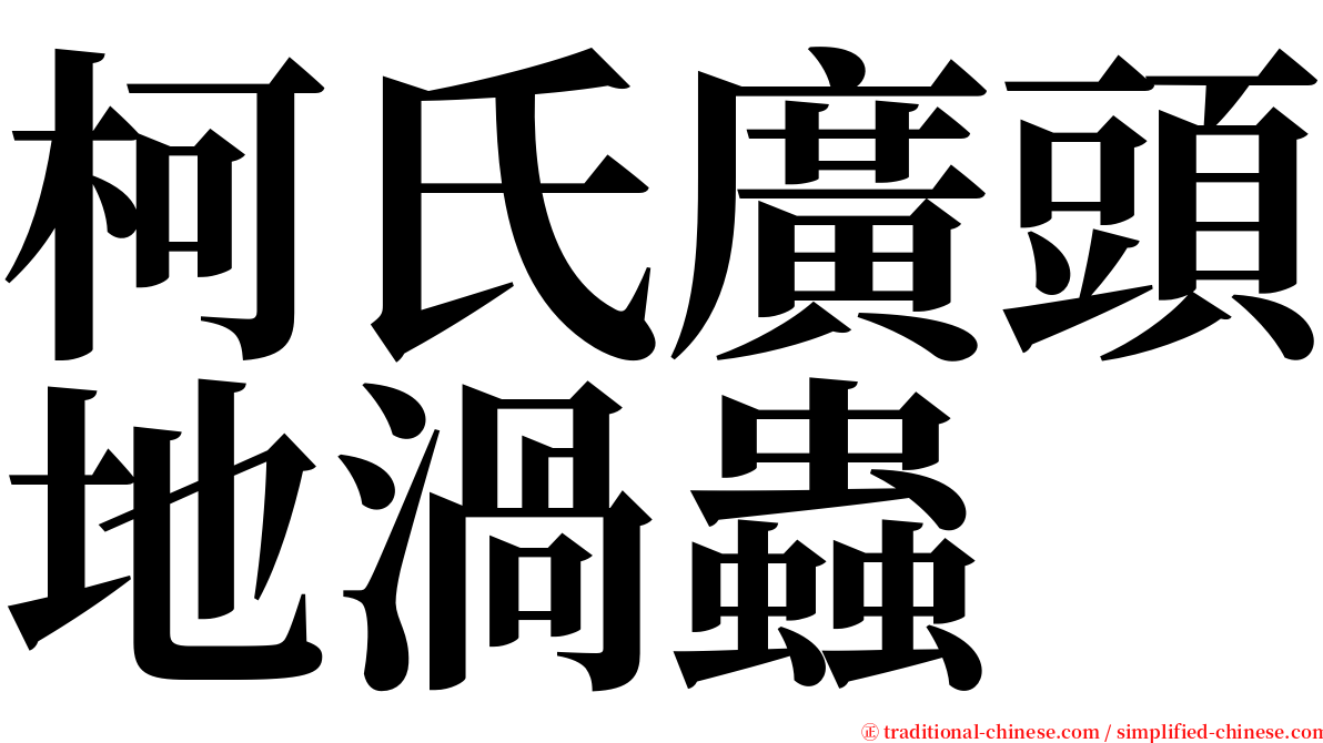 柯氏廣頭地渦蟲 serif font