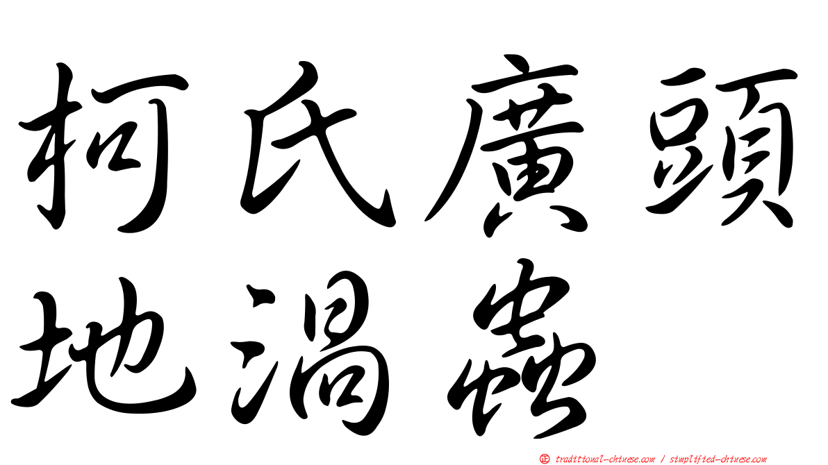柯氏廣頭地渦蟲