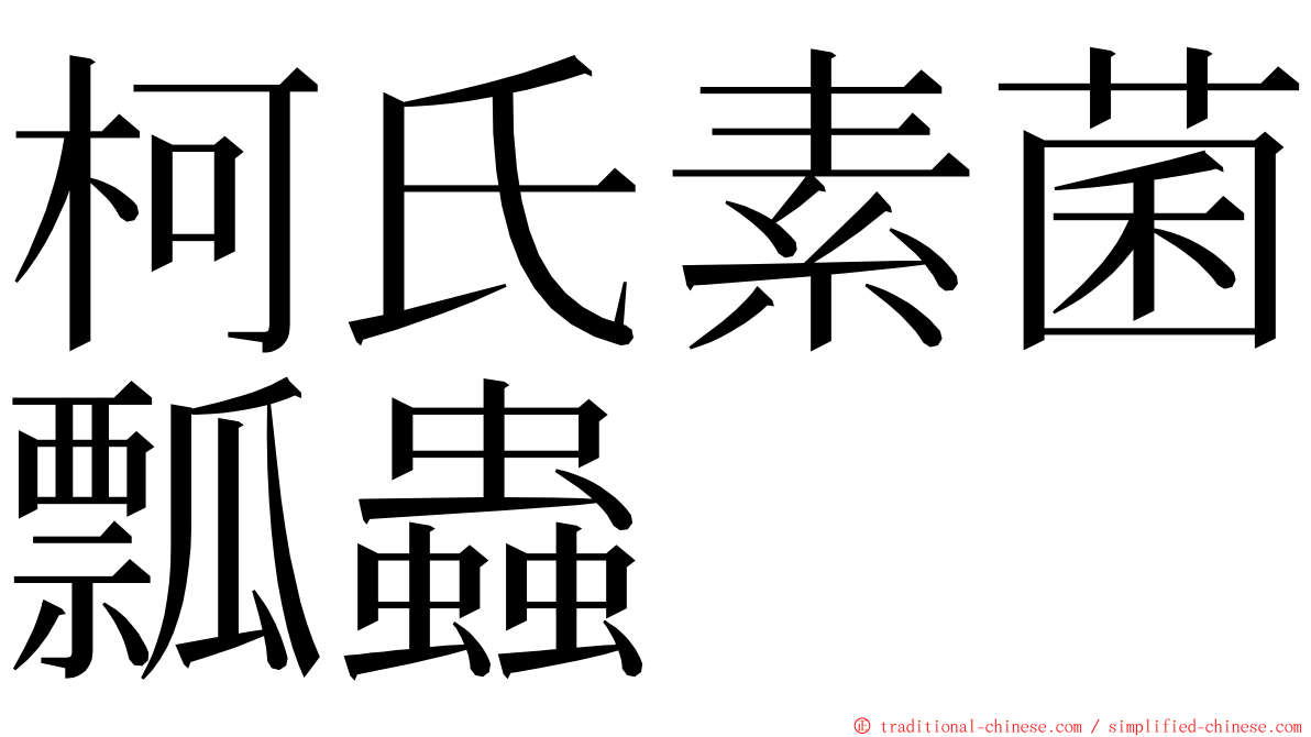 柯氏素菌瓢蟲 ming font