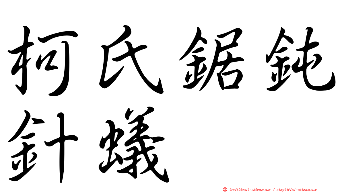 柯氏鋸鈍針蟻