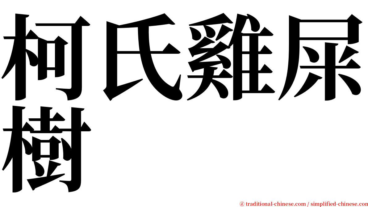 柯氏雞屎樹 serif font