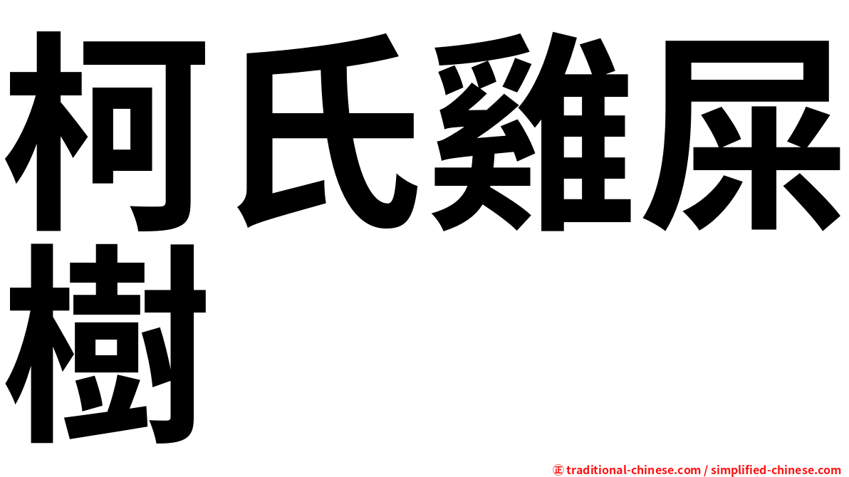 柯氏雞屎樹