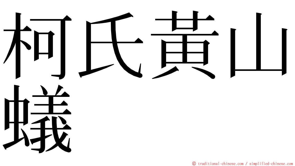 柯氏黃山蟻 ming font