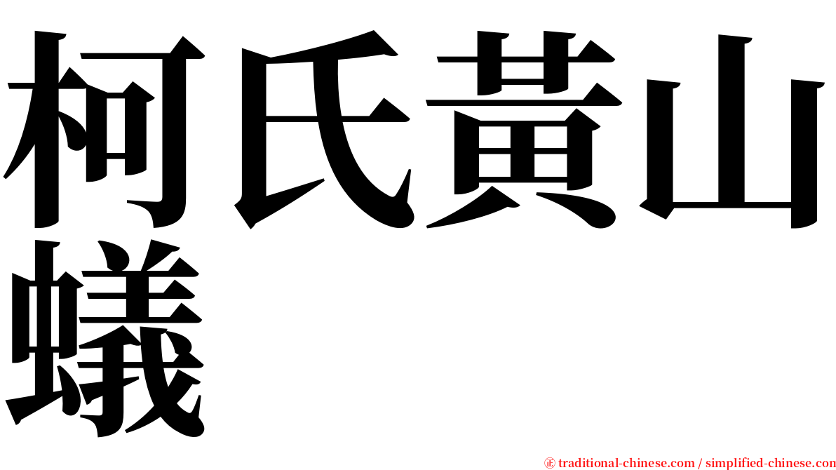 柯氏黃山蟻 serif font