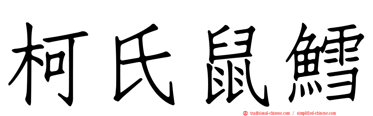 柯氏鼠鱈