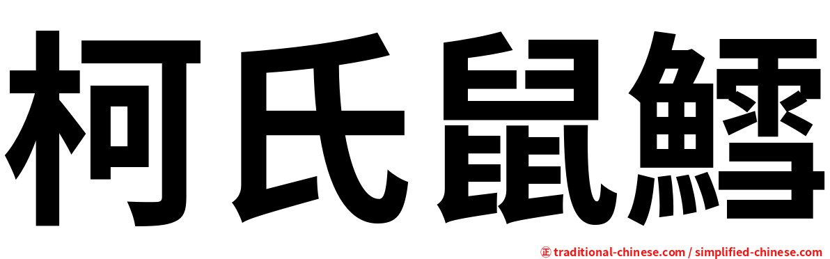 柯氏鼠鱈