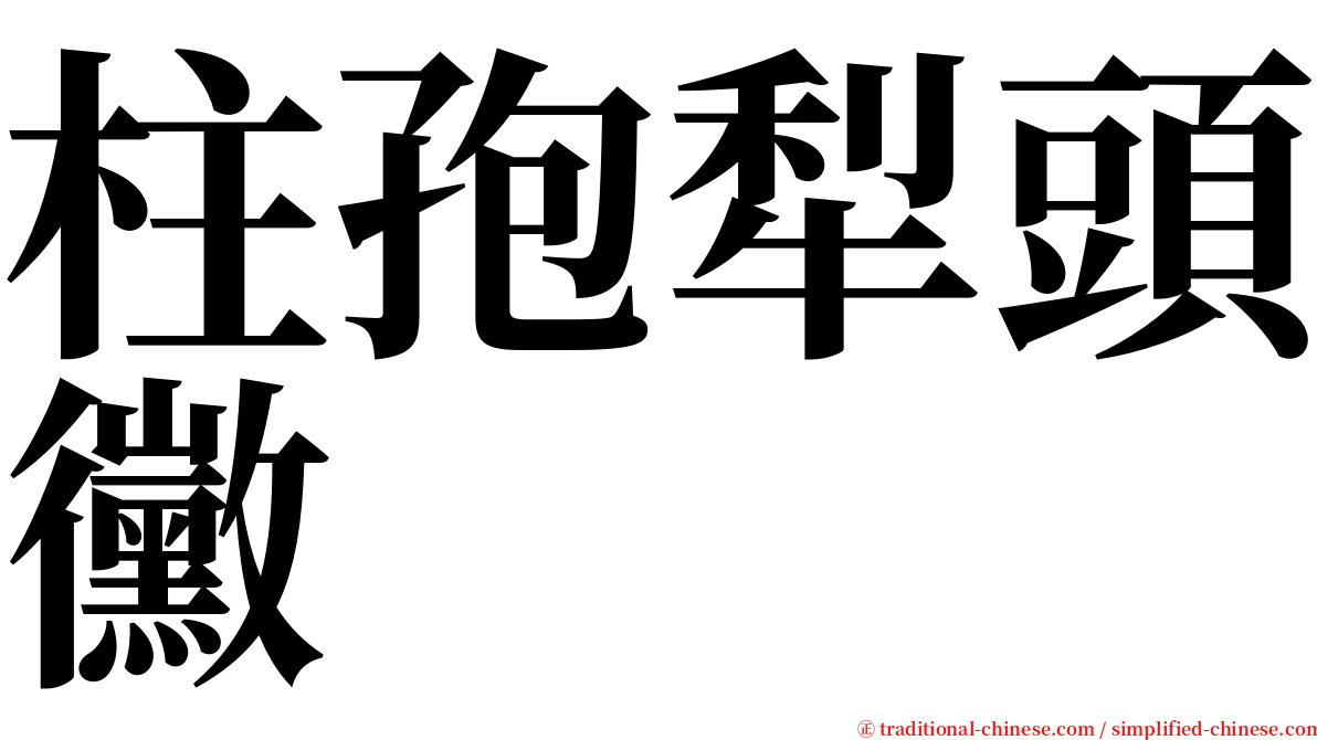 柱孢犁頭黴 serif font