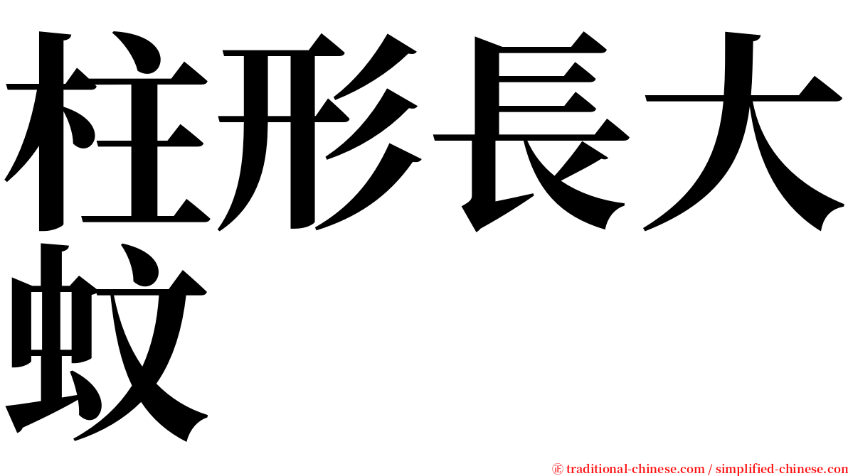 柱形長大蚊 serif font