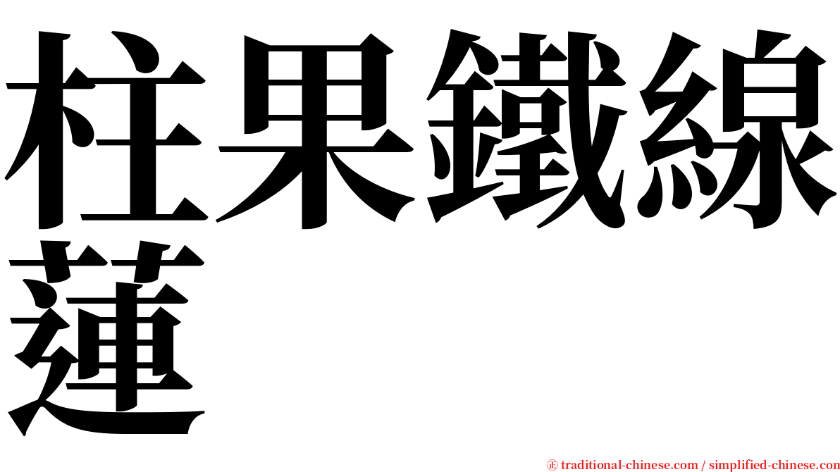 柱果鐵線蓮 serif font