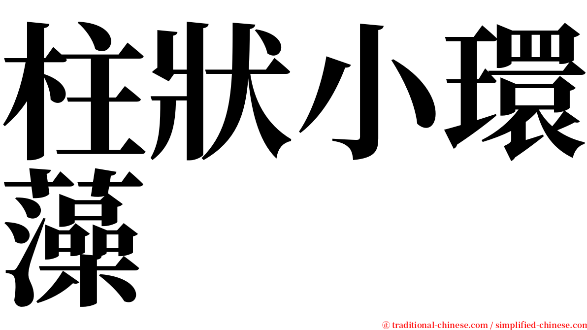 柱狀小環藻 serif font