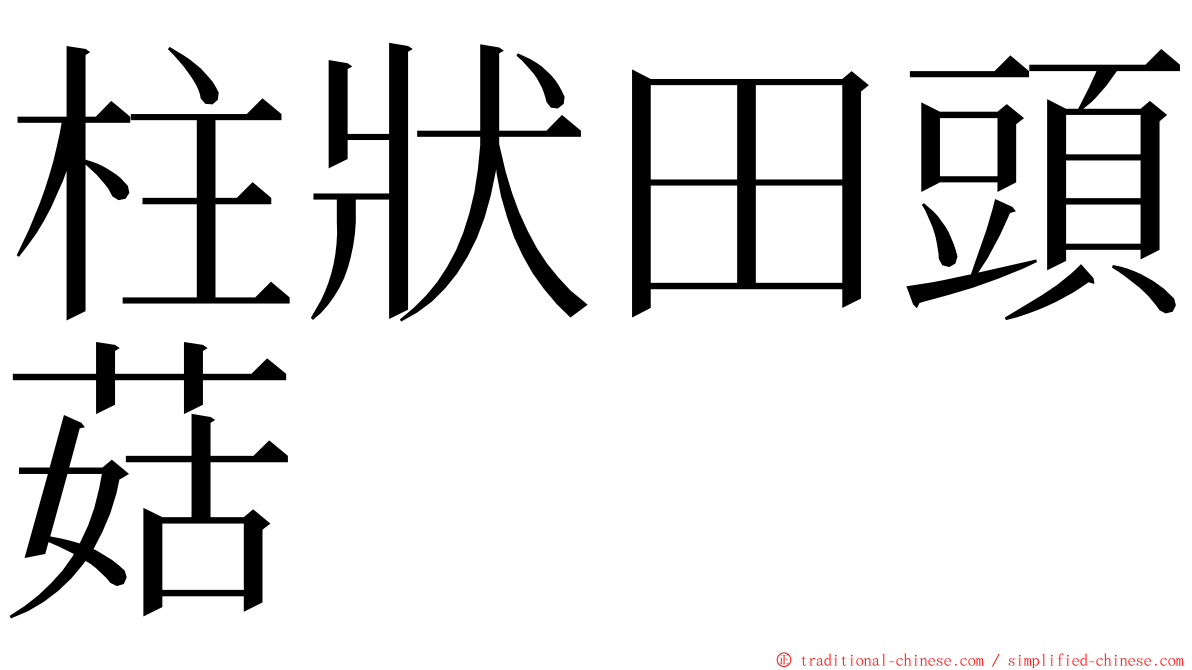 柱狀田頭菇 ming font