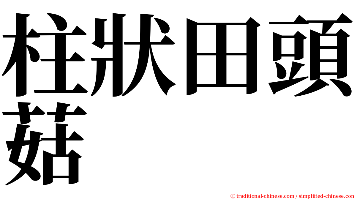 柱狀田頭菇 serif font