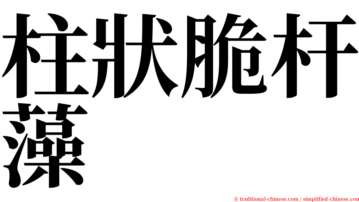 柱狀脆杆藻 serif font