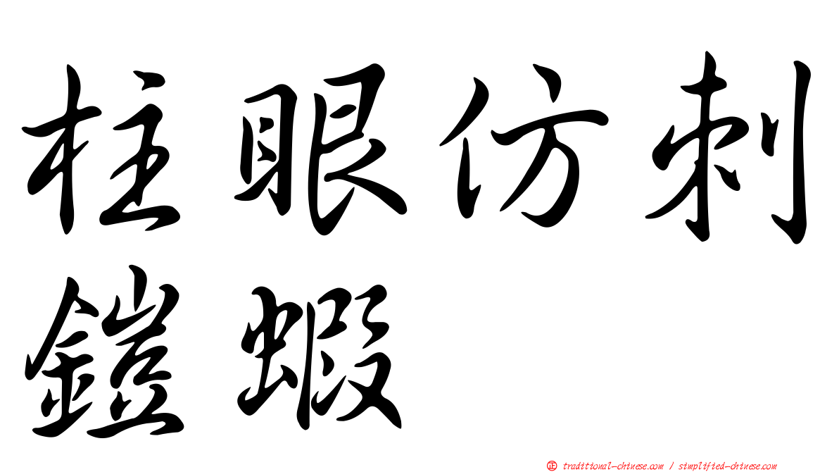 柱眼仿刺鎧蝦