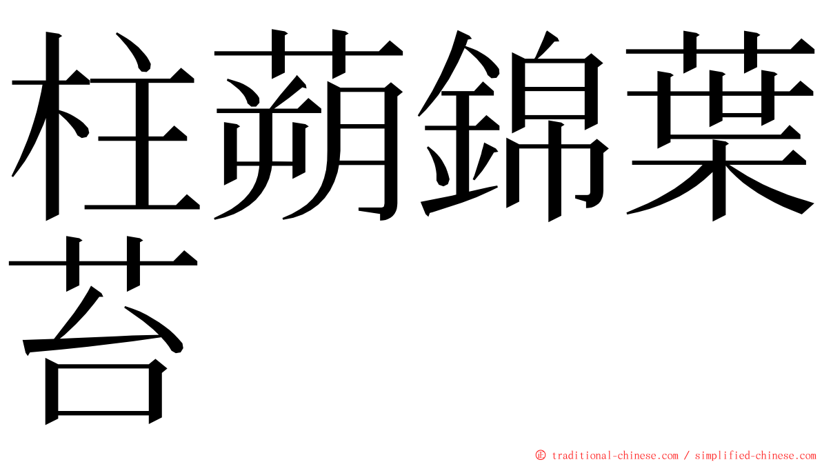 柱蒴錦葉苔 ming font