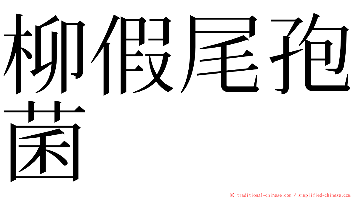 柳假尾孢菌 ming font