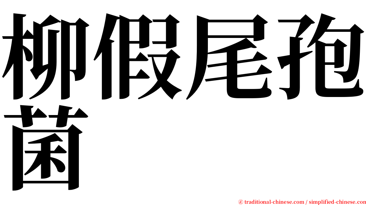 柳假尾孢菌 serif font