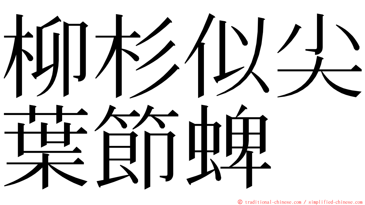 柳杉似尖葉節蜱 ming font