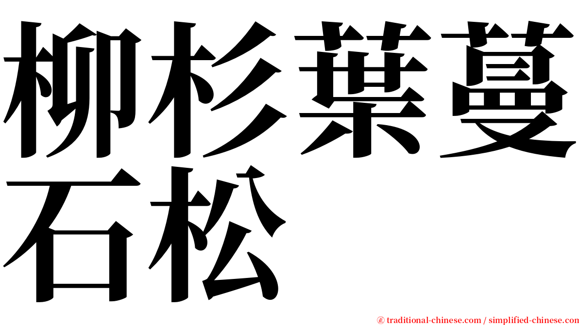 柳杉葉蔓石松 serif font