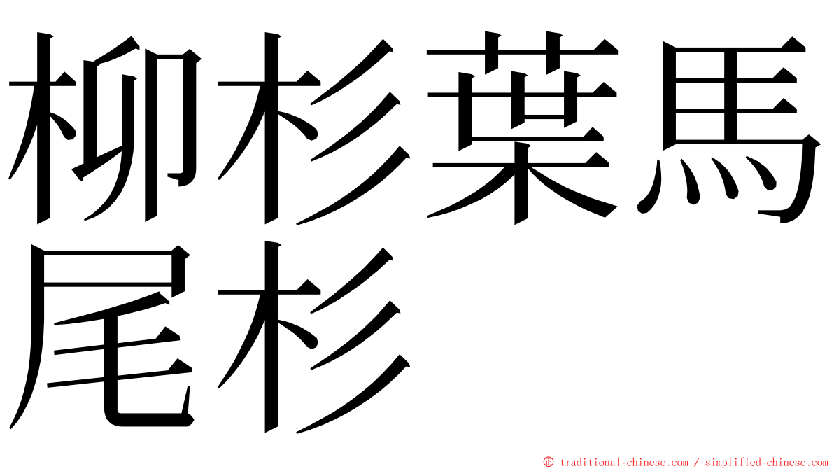 柳杉葉馬尾杉 ming font