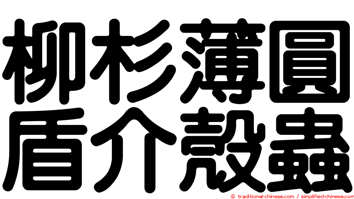 柳杉薄圓盾介殼蟲