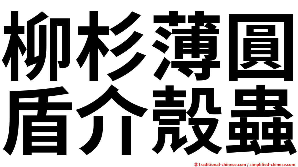 柳杉薄圓盾介殼蟲