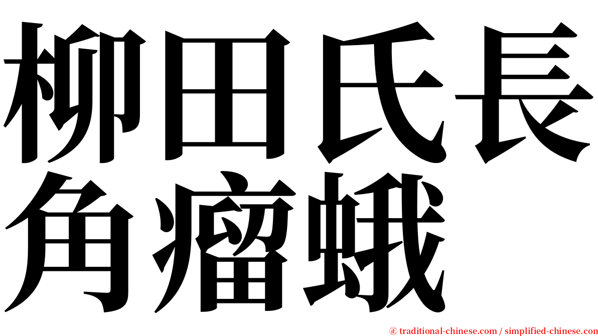 柳田氏長角瘤蛾 serif font