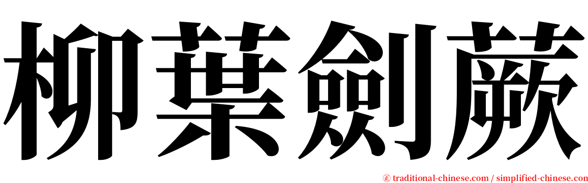 柳葉劍蕨 serif font