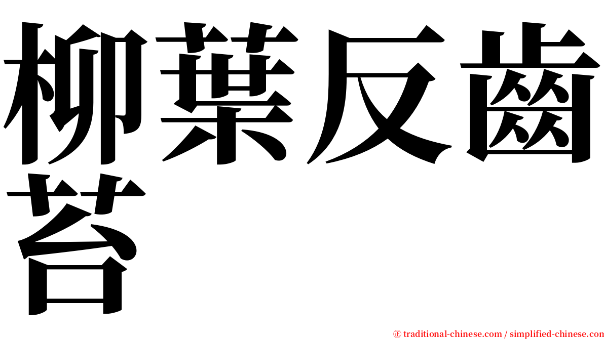 柳葉反齒苔 serif font