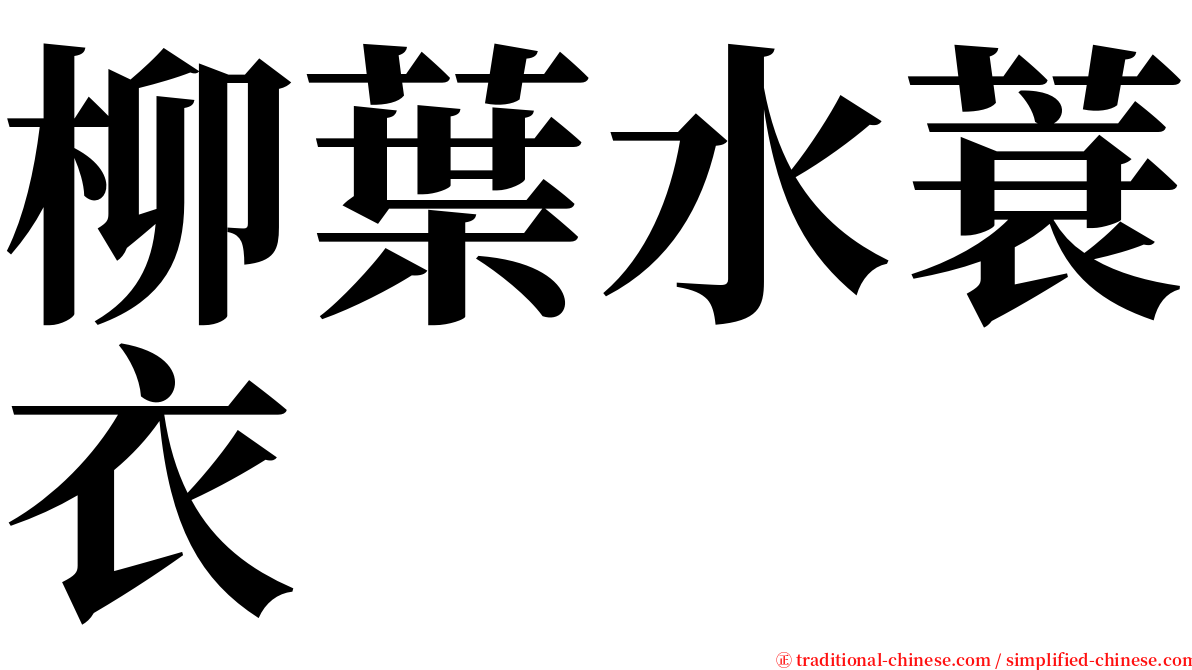 柳葉水蓑衣 serif font