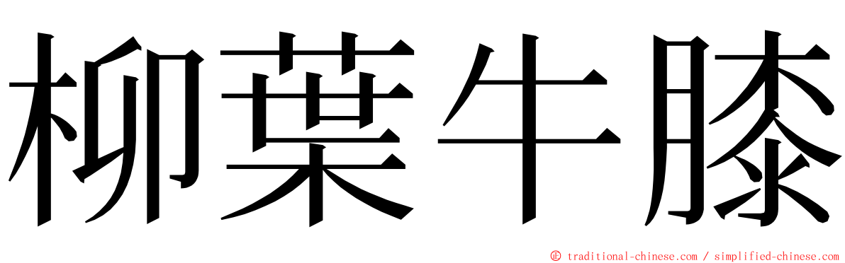 柳葉牛膝 ming font