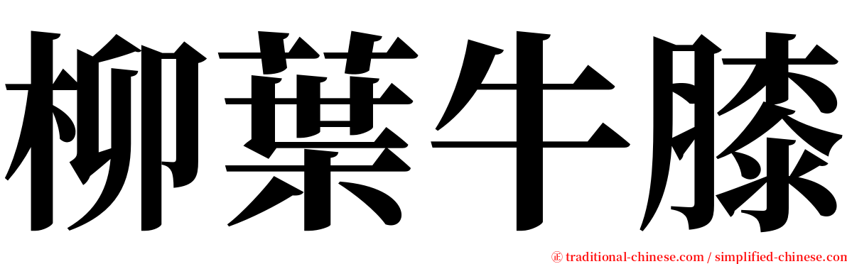 柳葉牛膝 serif font