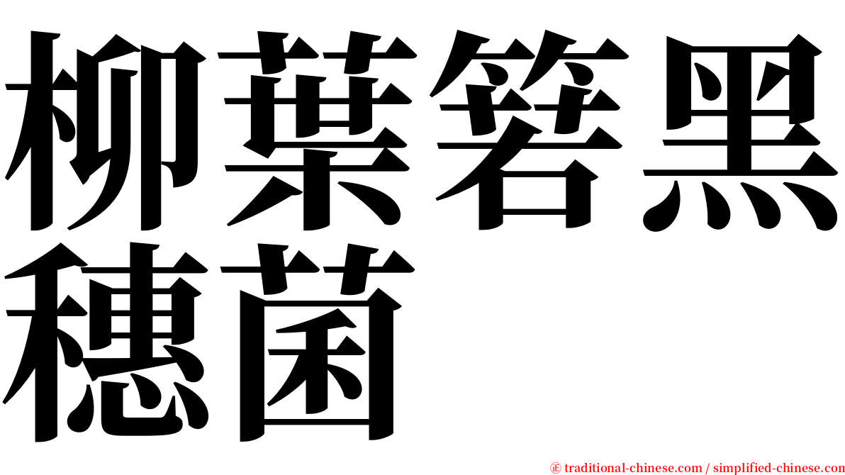 柳葉箬黑穗菌 serif font